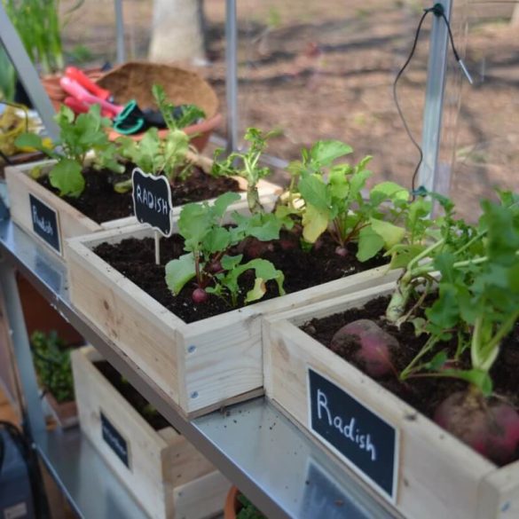 Palram melegház Hybrid polikarbonát üvegház 1.85m x 3.06m