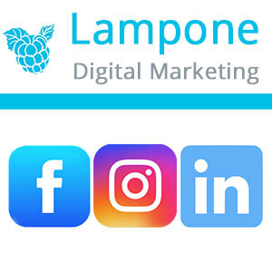 Lampone online marketing tanácsadás