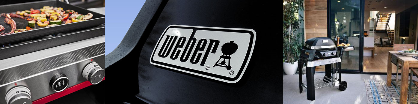 Weber kerti grill, elektromos grill - Lampone Garden